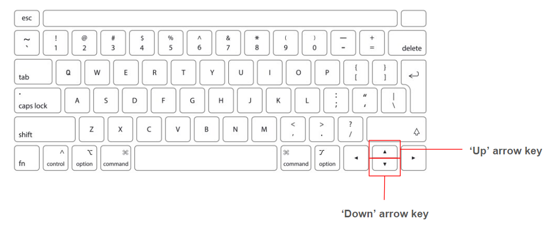 Keyboard Arrow Keys